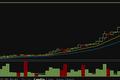 Forex magnates