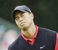 Garcia comment hurtful: Woods