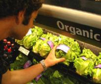 Affluent Indians develop taste for organic food